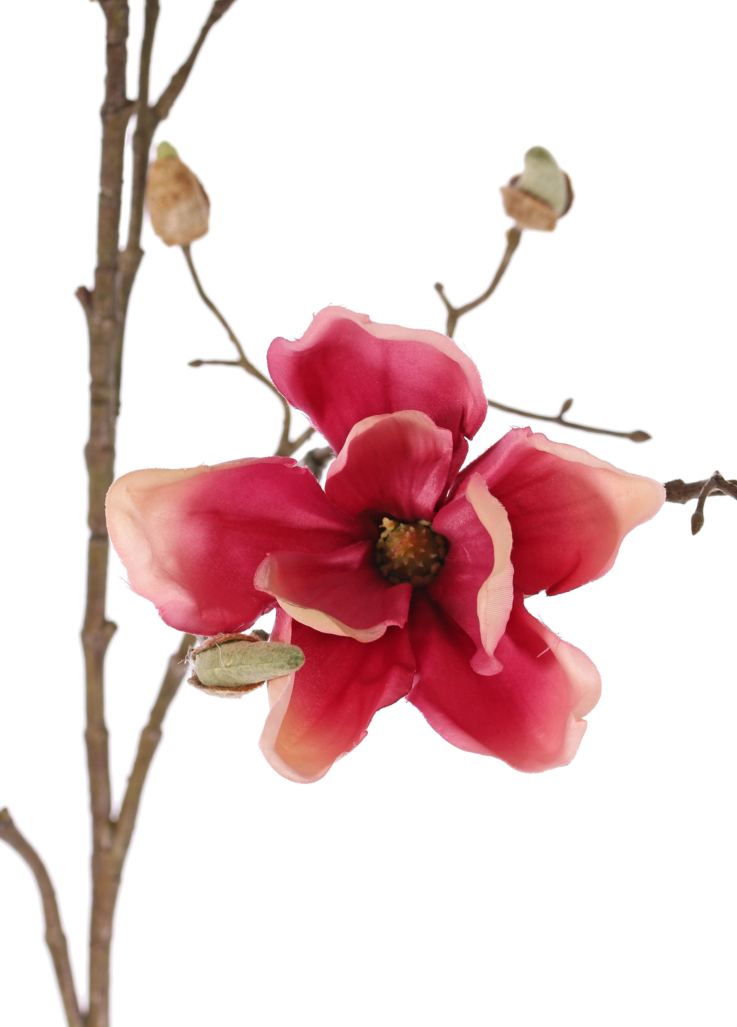 Magnolia branch with 4 flowers, 22 buds, 107cm