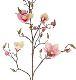 Magnolia branch with 4 flowers, 22 buds, 107cm