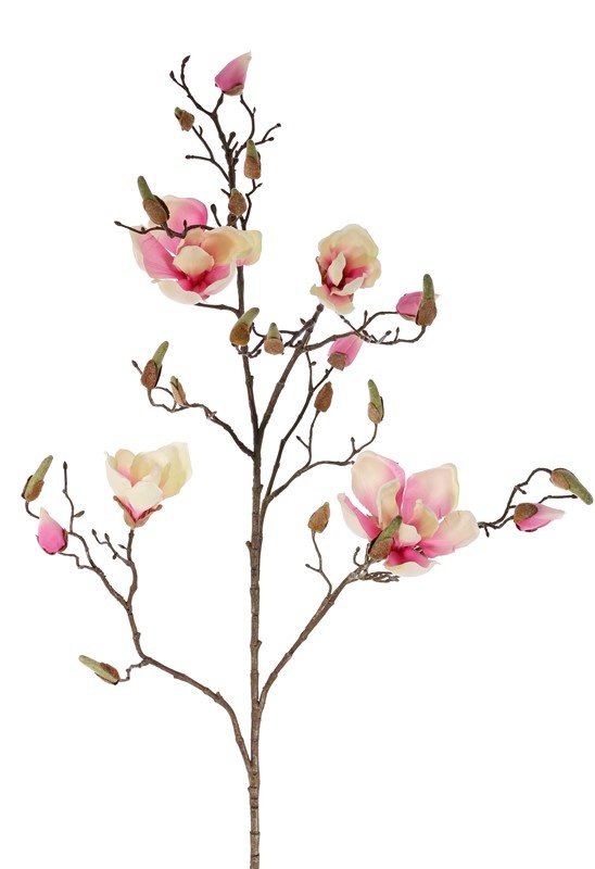 Magnolia tak met 4 bloemen, 22 knoppen, 107 cm