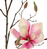 Magnolia branch with 4 flowers, 22 buds, 107cm