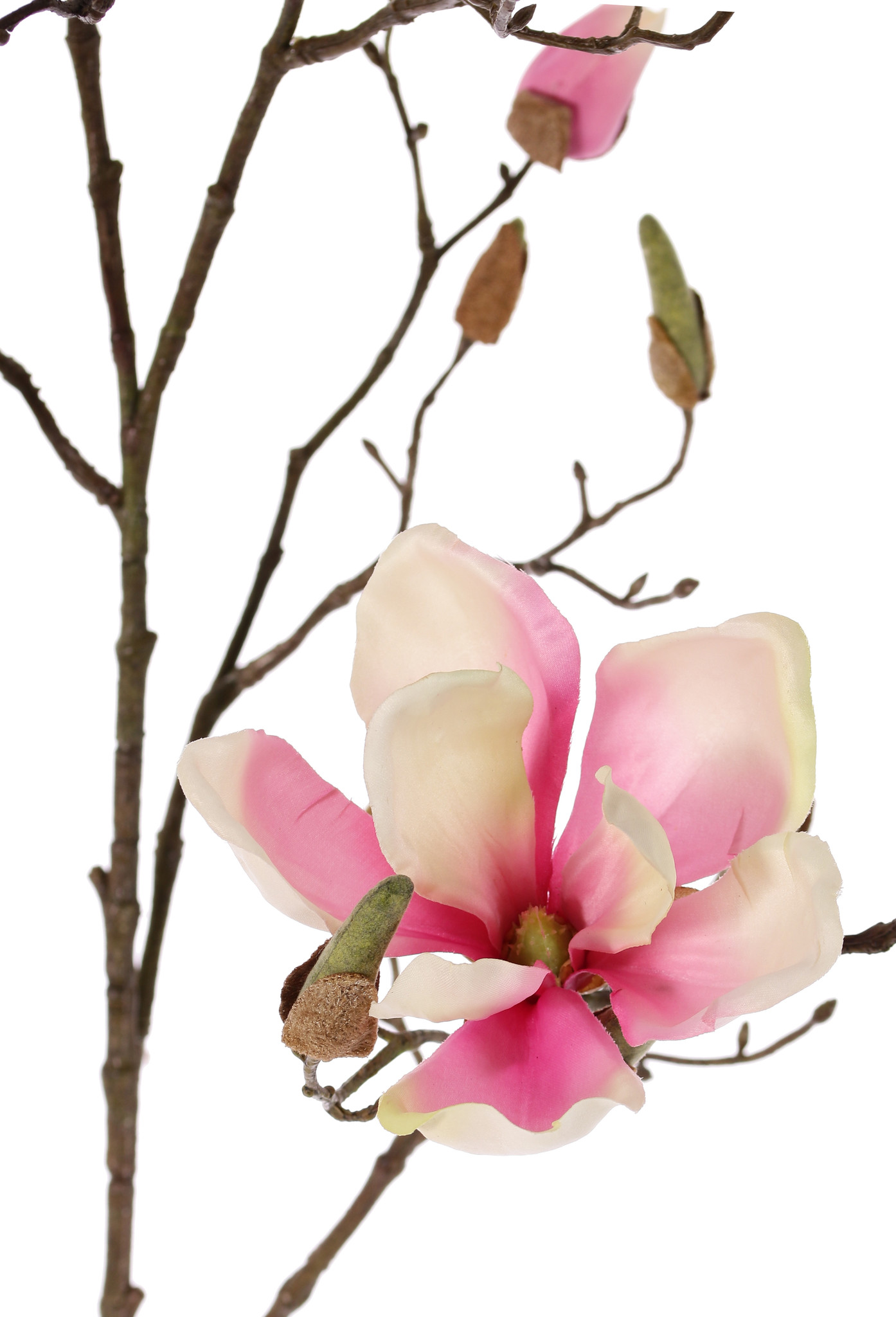 Rama de magnolia con 4 flores, 22 capullos, 107cm