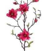 Rama de magnolia con  75cm 4 flowers (Ø 7- 8 cm)