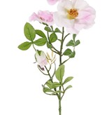 Wilde roos (Rosa rubiginosa), 3 bloemen (2x Ø 9cm, 1x Ø 7cm) & 1 knop, 24 blad (6 sets), 60cm