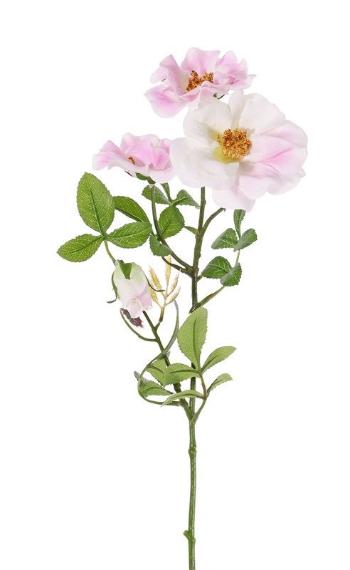 Rosa mosqueta (Rosa rubiginosa), 3 flores (2x Ø 9cm, 1x Ø 7cm) & 1 brote, 24 hojas (6 sets), 60cm