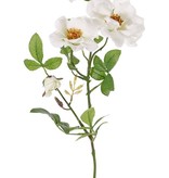 Rosa mosqueta (Rosa rubiginosa), 3 flores (2x Ø 9cm, 1x Ø 7cm) & 1 brote, 24 hojas (6 sets), 60cm