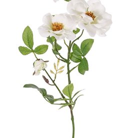 Wein-Rose, Zaun-Rose (Rosa rubiginosa), 3 Blumen (2x Ø 9cm, 1x Ø 7cm) & 1 Knospe, 24 Blätter (6 sets), 60cm