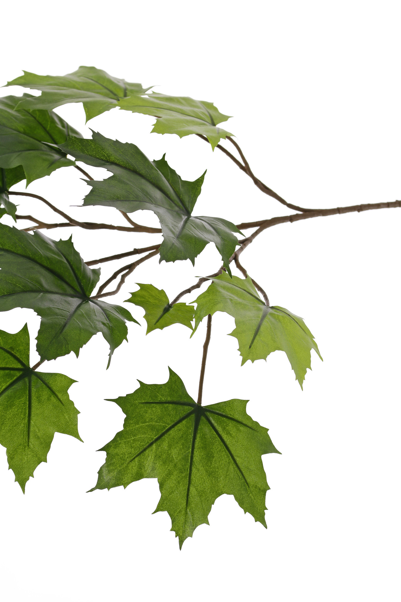 Esdoorn bladtak (Acer pseudoplatanus),5 vertakkingen, 16 blad, bruine steel, UV bestendig, 72cm
