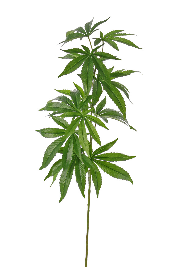 Cannabis sativa artificial, 14 hojas (9*15cm/5*12cm), 97cm