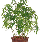 Artificial cannabis sativa, 14 leaves (9*15cm/5*12cm), 97cm