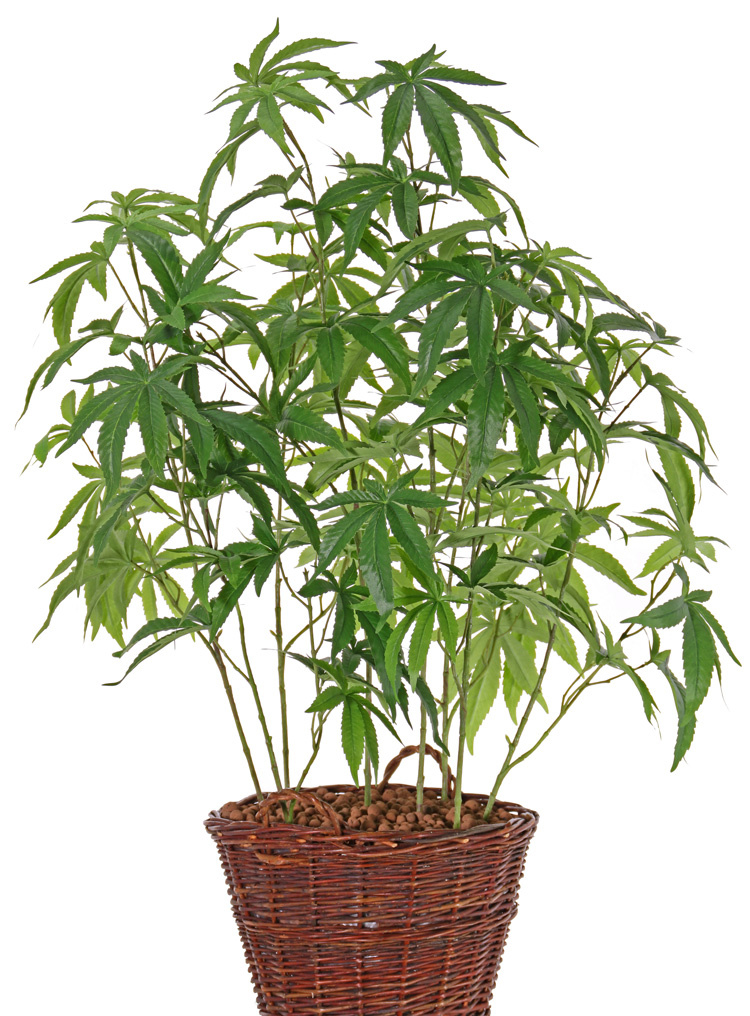 Artificial cannabis sativa, 14 leaves (9*15cm/5*12cm), 97cm