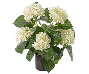kunstpflanze Hortensie - Seidenblumen Top Art Int. - Kunstblumen,  Kunstpflanzen B2B