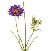 Scabiosen, 3 Verzweigungen, 2 Blumen Ø 10 u. 8 cm, 3 Knospen, 4 Blätter, 80cm