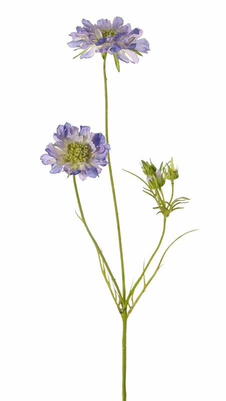 Scabiosen, 3 Verzweigungen, 2 Blumen Ø 10 u. 8 cm, 3 Knospen, 4 Blätter, 80cm