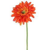 Gerbera  Ø  12cm, 63 cm