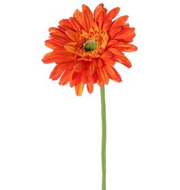 Gerbera, Ø 12cm, 63 cm