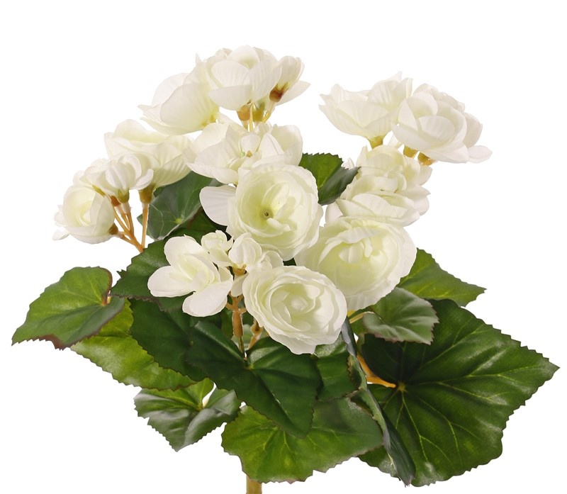 Begonia bloeiend, 6 vertakkingen, met 36 bloemen & 24 blad, Ø 25 cm, H. 20 cm