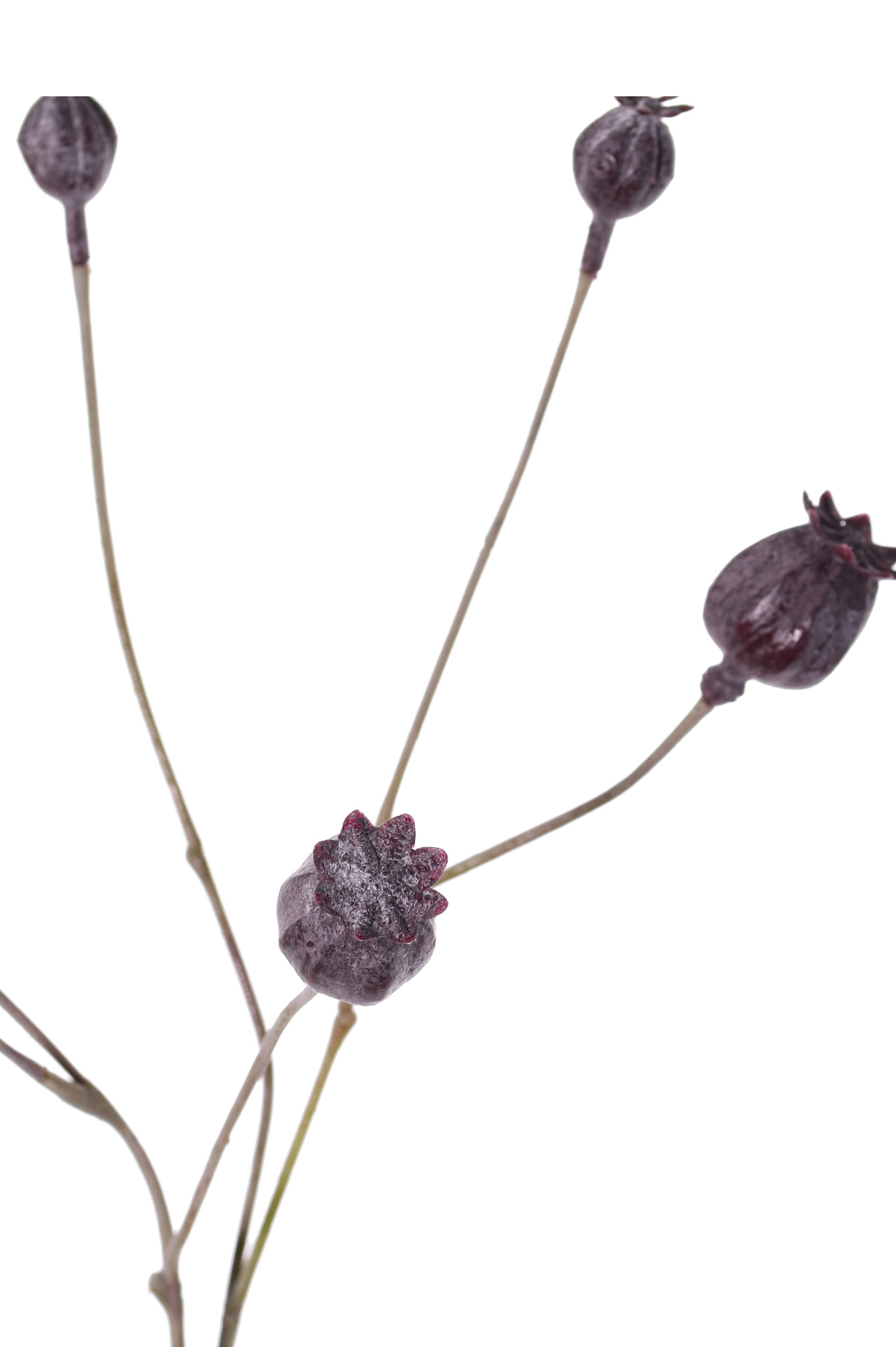Poppy seeds branch, 6 fruits, plastic, 68cm