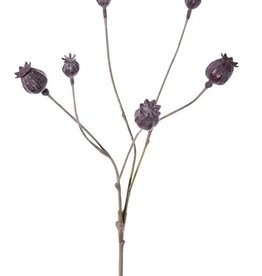 Mohnblumen, Kapselfruchtzweig, 6 Kapseln, Vollplastik, 68cm