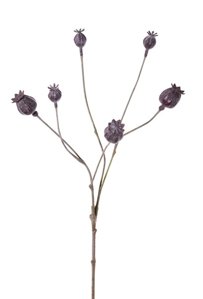 Poppy seeds branch, 6 fruits, plastic, 68cm