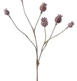 Poppy seeds branch, 6 fruits, plastic, 68cm