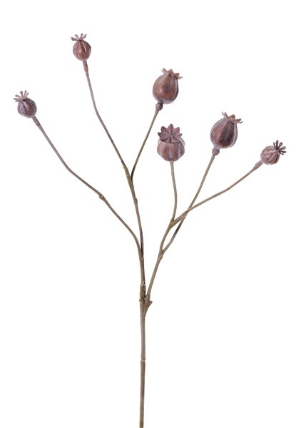 Poppy seeds branch, 6 fruits, plastic, 68cm