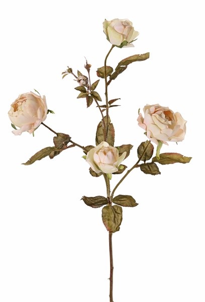 Rosenzweig Edith, 4 Blumen (2x Ø 8cm, 2x Ø 5cm) & 3 Knospen, 26 Blätter, 76cm