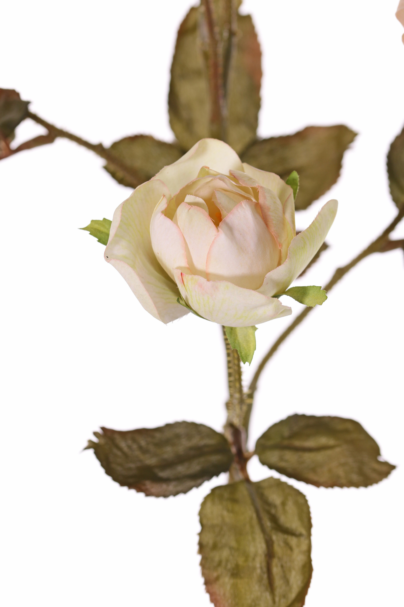 Rama de rosa Edith, 4 flores (2x Ø 8cm, 2x Ø 5cm) & 3 capullos, 26 hojas, 76cm