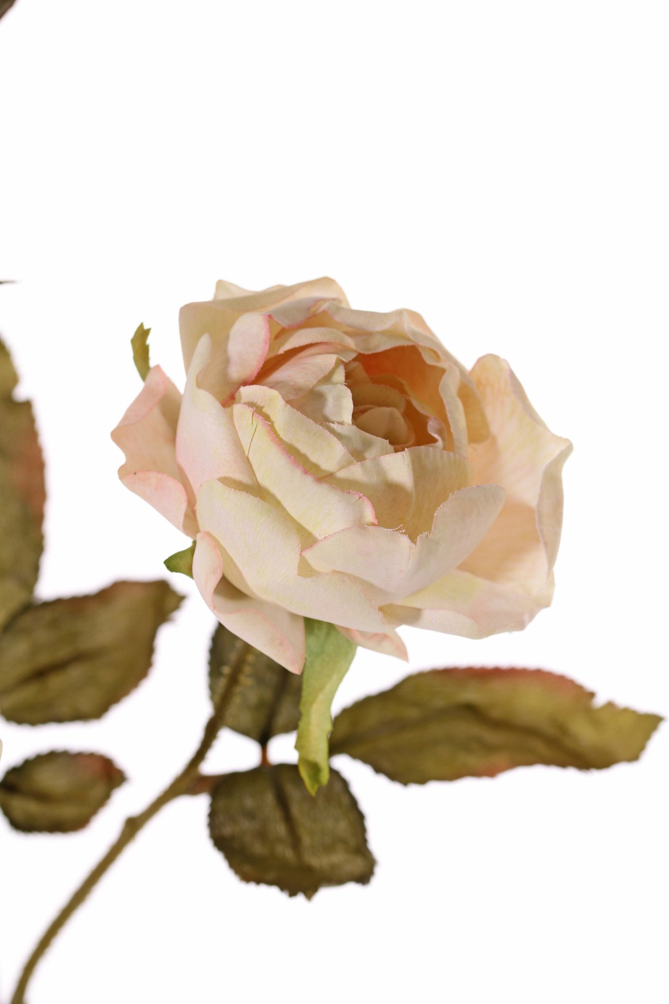 Rozentak Edith, 4 bloemen (2x Ø 8cm, 2x Ø 5cm) & 3 knop, 26 blad, 76cm