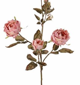 Branche de rose Edith, 4 fleurs (2x Ø 8cm, 2x Ø 5cm) & 3 boutons, 26 feuilles, 76cm