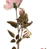 Rozentak Edith, 4 bloemen (2x Ø 8cm, 2x Ø 5cm) & 3 knop, 26 blad, 76cm