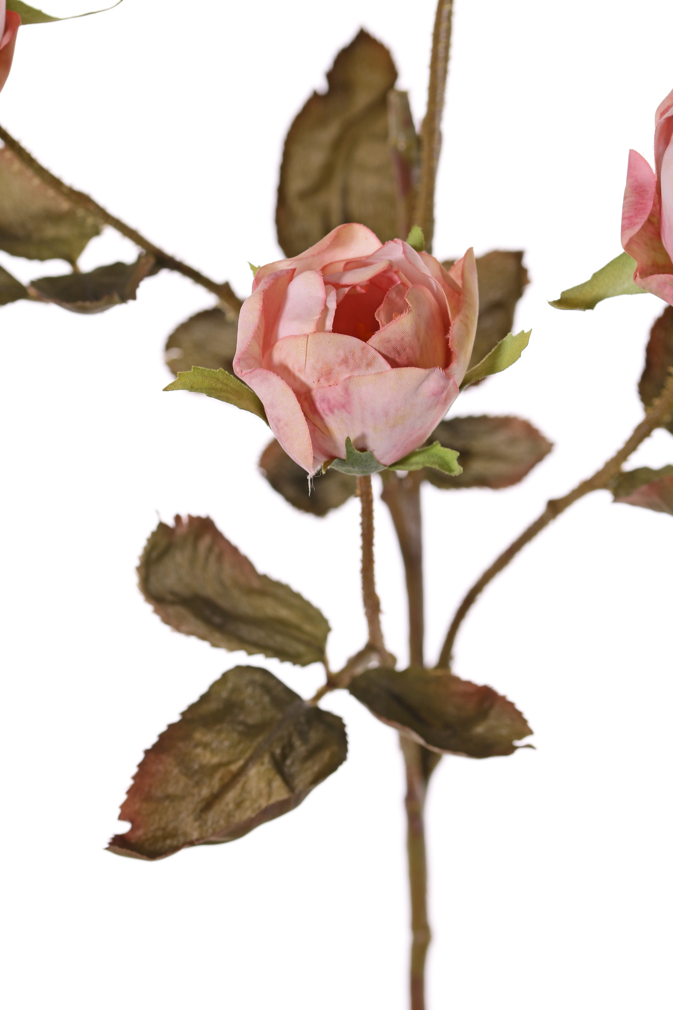 Rozentak Edith, 4 bloemen (2x Ø 8cm, 2x Ø 5cm) & 3 knop, 26 blad, 76cm