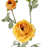 Ranunculus with 1 flower (Ø 9cm) & 2 buds (Ø 4cm, Ø 2,5cm), 6 leaves, 66cm