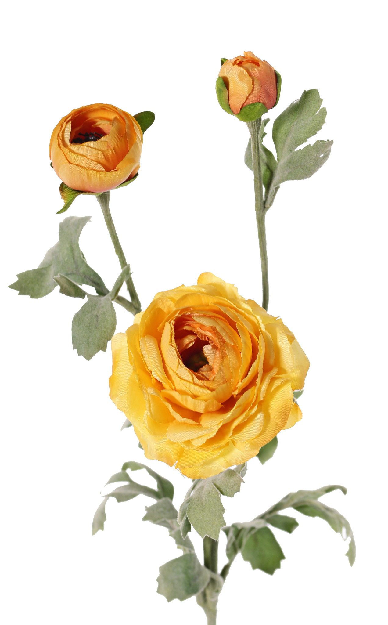 Ranunkel, mit 1 Blume (Ø 9cm) & 2 Knospen (Ø 4cm, Ø 2,5cm), 6 Blätter, 66cm