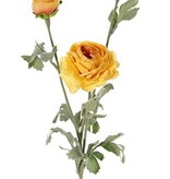 Ranunculus with 1 flower (Ø 9cm) & 2 buds (Ø 4cm, Ø 2,5cm), 6 leaves, 66cm