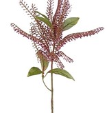 Pieris decobranch with 1 plastic cluster Ø 20cm & 6 leaves, 62cm