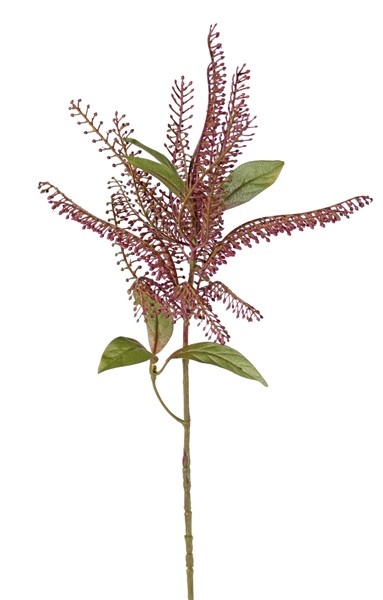 Pieris decobranch with 1 plastic cluster Ø 20cm & 6 leaves, 62cm