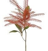 Pieris - Lavendelheide - Ø 20cm & 6 Blätter, 62cm