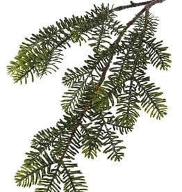 Sparretak (Abies) x3, platte naalden, 53cm