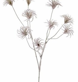 Waldreben-Saatzweig (Clematis) mit 3 Verzweigungen, 9 Samenstände, beflockt, 71cm