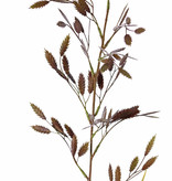 Briza grass, with 13 sprays (91 beavers) & 2 leaves, 98cm