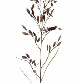 Briza grass, with 13 sprays (91 beavers) & 2 leaves, 98cm