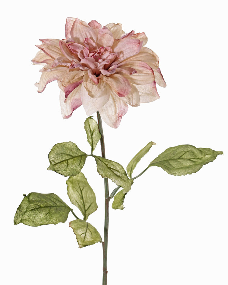 Dahlia, Ø 17cm & 9 hojas, 68cm