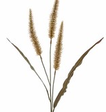 Pennisetum spray with 3 flowers 22cm & 2 leaves, 93cm