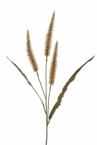 Pennisetum spray with 3 flowers 22cm & 2 leaves, 93cm