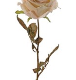 Rose Calista, Ø 11cm, H.7cm, 2 Blattsets (10 Blätter), 66cm