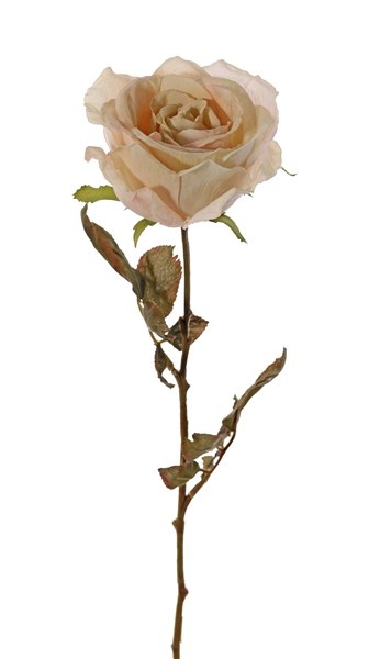 Roos Calista, 1 bloem (Ø 11cm, H.7cm), 2 sets blad (10 blaadjes), 66cm