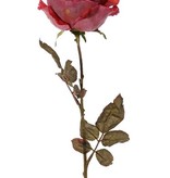 Rosa Calista, 1 flor (Ø 11cm, a.7cm), 2 sets de hojas (10 hojas), 66cm