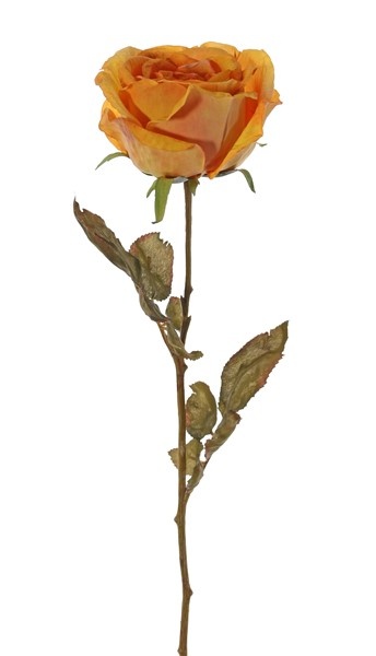 Rose Calista, 1 flower (Ø 11cm, h. 7cm), 2 sets of leaf (10 leaves), 66cm