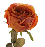Rose Calista, Ø 11cm, H.7cm, 2 Blattsets (10 Blätter), 66cm