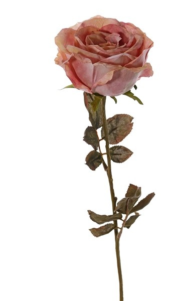 Rose Calista, 1 flower (Ø 11cm, h. 7cm), 2 sets of leaf (10 leaves), 66cm